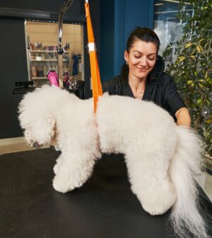 métier soigneur animalier