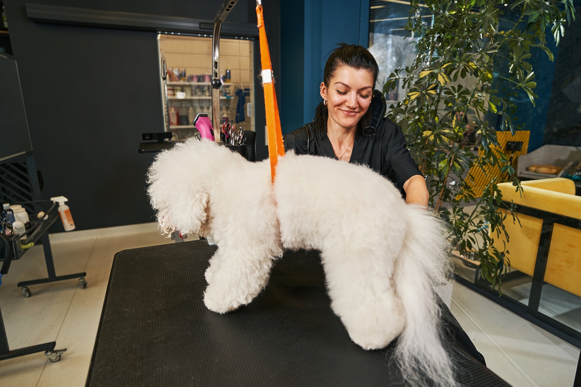 métier soigneur animalier