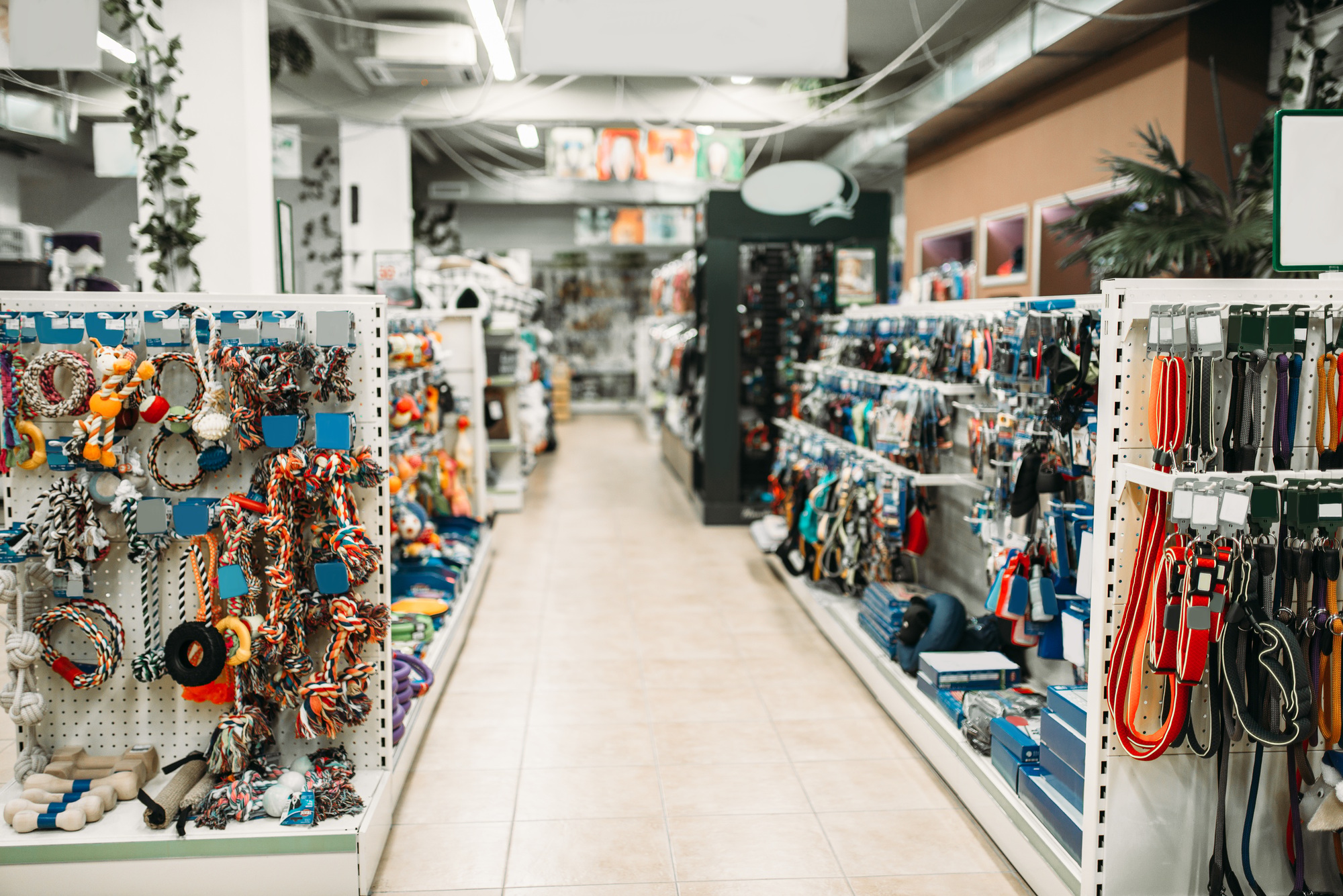 Grossiste Accessoire Animaux