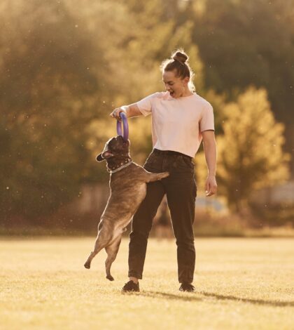 Woman is with dog on the summer field