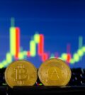 tokeniser