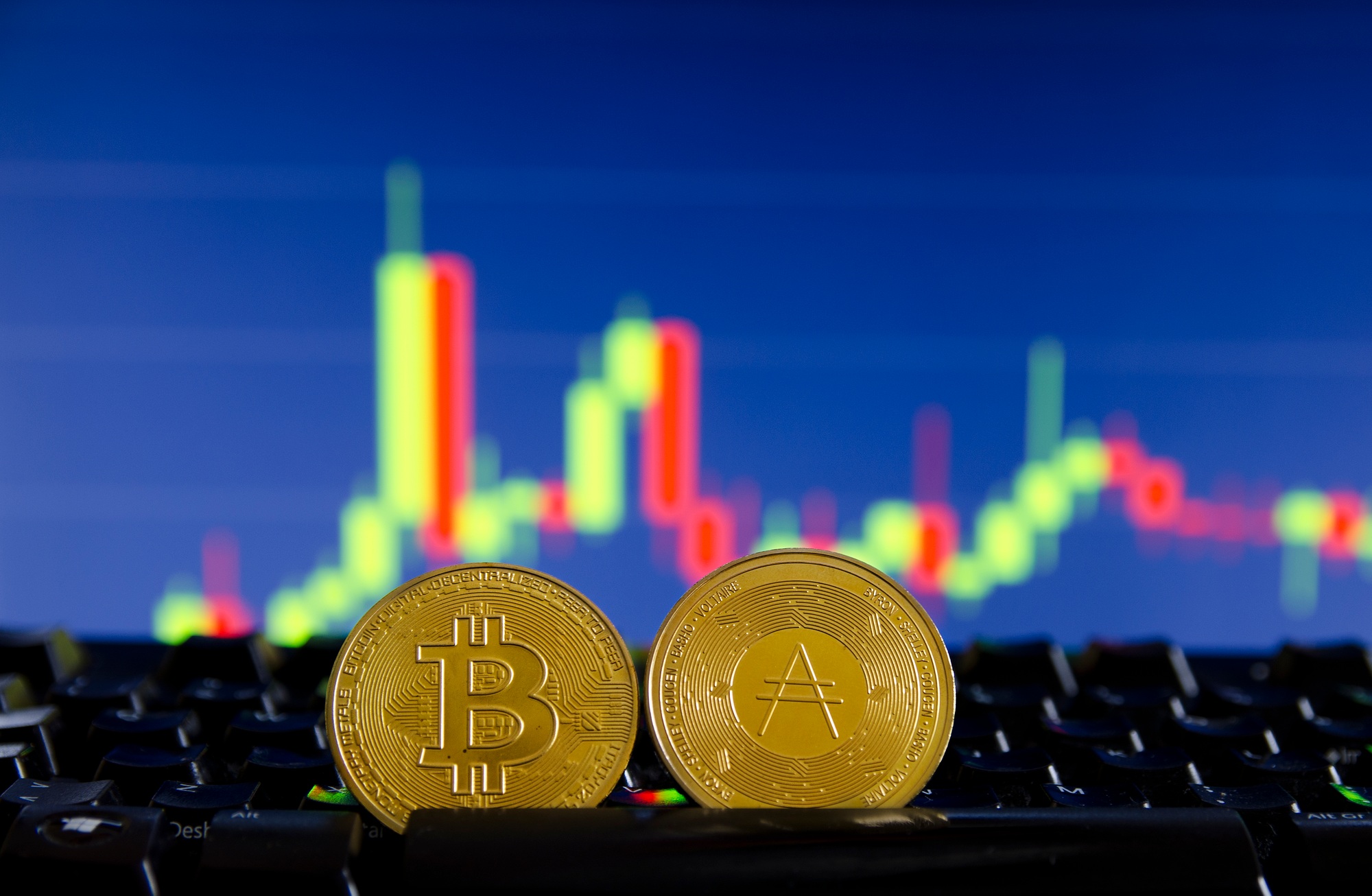 tokeniser