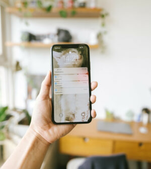 ecran iphone