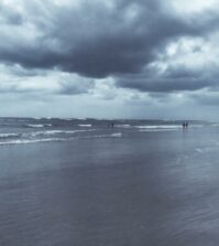 découvrez les avis sur les meilleurs plans d'épargne retraite (per) et choisissez les options les plus adaptées pour optimiser votre épargne à long terme.