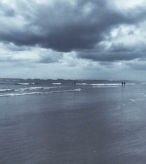 découvrez les avis sur les meilleurs plans d'épargne retraite (per) et choisissez les options les plus adaptées pour optimiser votre épargne à long terme.