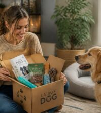 découvrez comment choisir la box pour chien sans abonnement idéale, adaptée aux besoins de votre compagnon, pour des moments de plaisir sans contraintes.