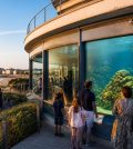 découvrez pourquoi l'aquarium de deauville est une attraction incontournable, alliant découverte marine, activités ludiques et paysages magnifiques pour toute la famille.