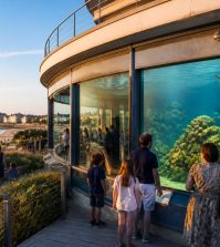 découvrez pourquoi l'aquarium de deauville est une attraction incontournable, alliant découverte marine, activités ludiques et paysages magnifiques pour toute la famille.